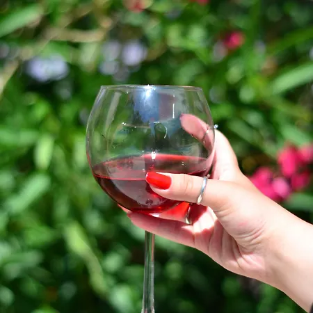 ホテル Cunda Basel Ayvalı